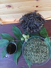 Graikinio riešutmedžio lapų arbata nepaprastas energijos šaltinis
